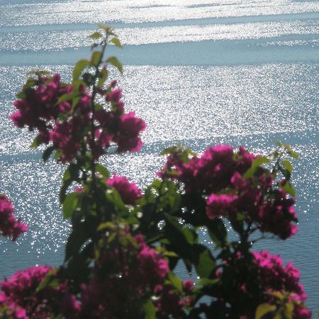 نِكيانا Villa Magemenou المظهر الخارجي الصورة