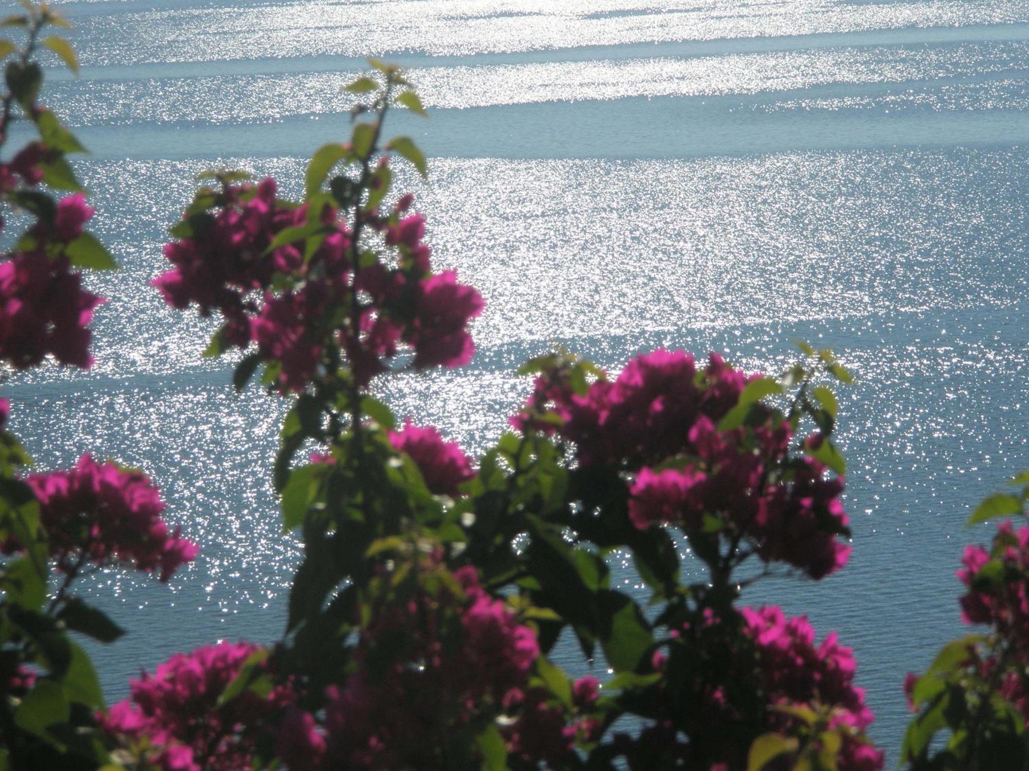 نِكيانا Villa Magemenou المظهر الخارجي الصورة
